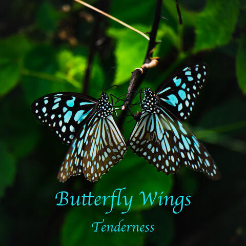 Tenderness