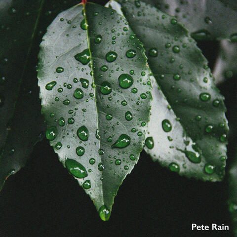Rainy Moments
