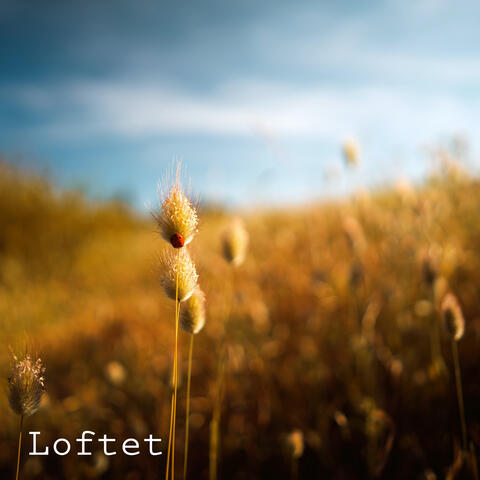 Slätten