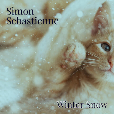 Winter Snow