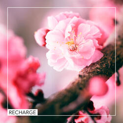 Recharge