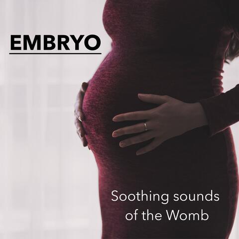 Soothing sounds of the womb