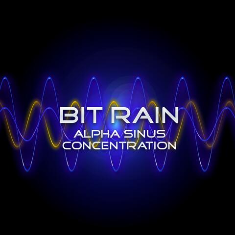 Bit Rain