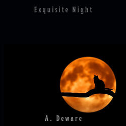 Exquisite Night