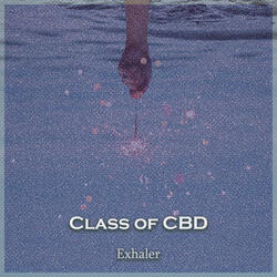 Exhaler