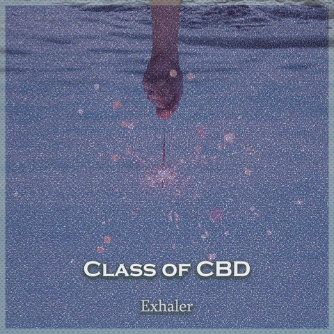 Exhaler