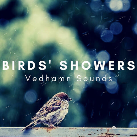Birds’ Showers