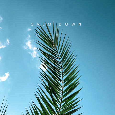 Calm Down