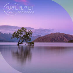 New Landscapes