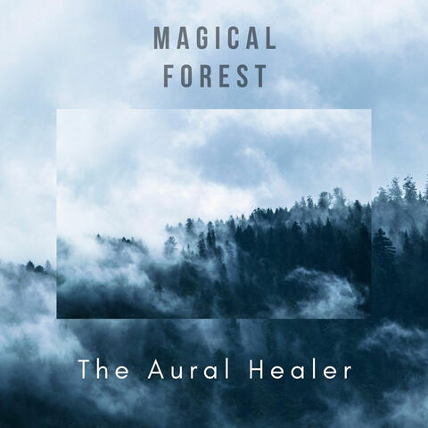 Magical Forest
