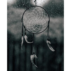 Raining With The Birds