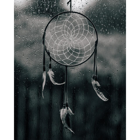 Dreaming Of Rain