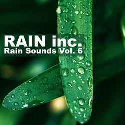 Summer Rain In Stockholm