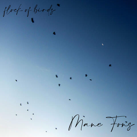 Flock of Birds