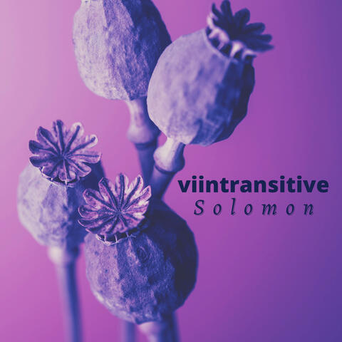 Solomon