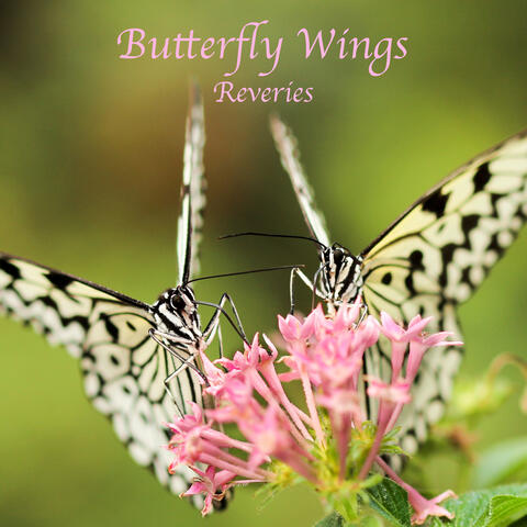 Reveries