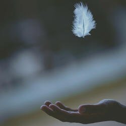 Moment Of Light