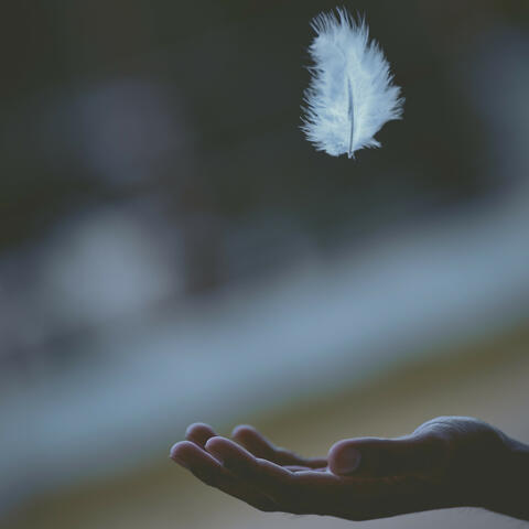 Moment Of Light