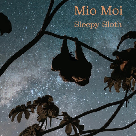 Sleepy Sloth