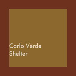 Shelter