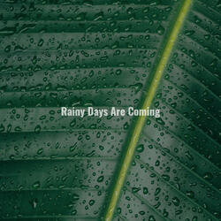 Dreamy Rain