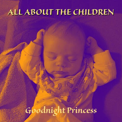 Goodnight Princess
