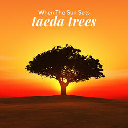 When The Sun Sets
