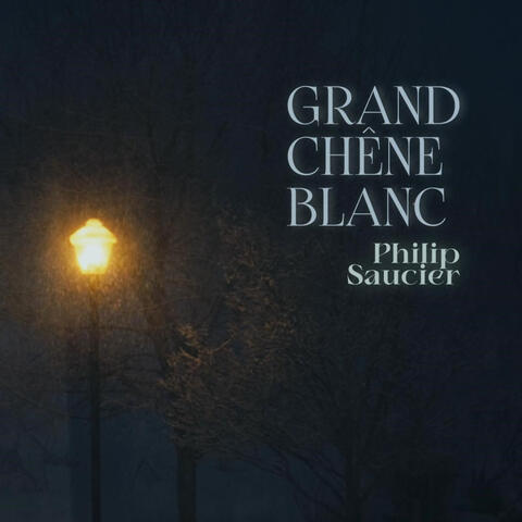Grand chêne blanc