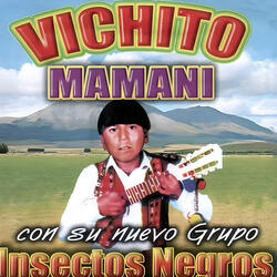 Vichito Mamaní