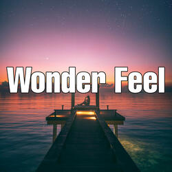 Wonder Feel
