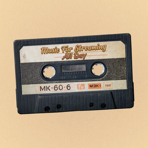 Chill Gaming Stream Music