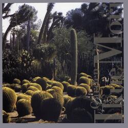 Donkey Diversion / Gull / Moon Desert