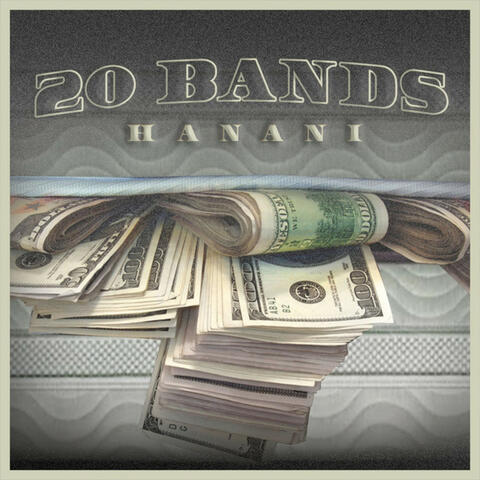 20 Bands