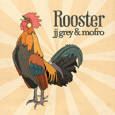 Rooster