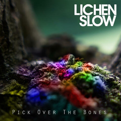 Pick Over The Bones