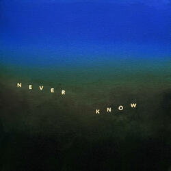 Never Know