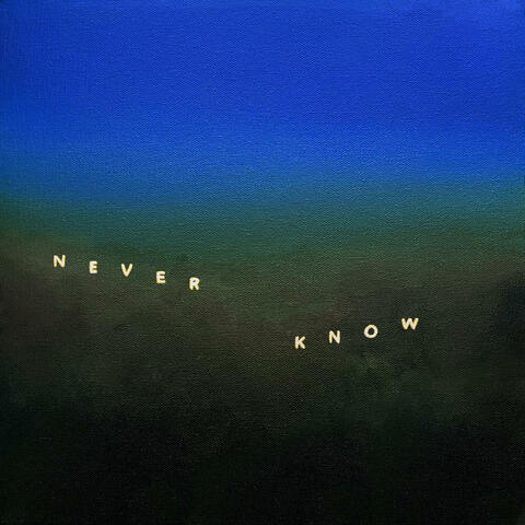 Never Know