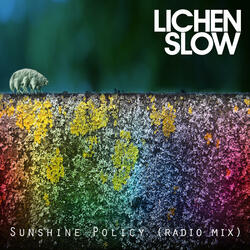 Sunshine Policy