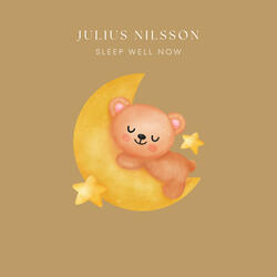 Sleep Well Now