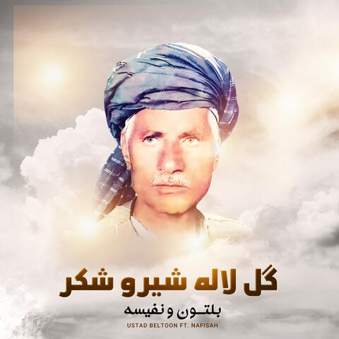 گل لاله شیر و شکر