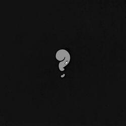 20 Questions