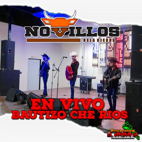 Novillos de la Sierra