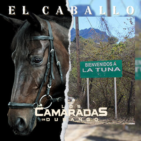 El Caballo