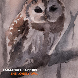 The Lonely Owl