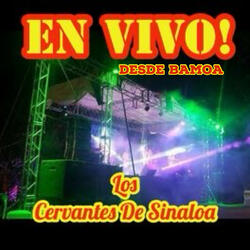 Homenaje A Jaime Cervantes (En Vivo)