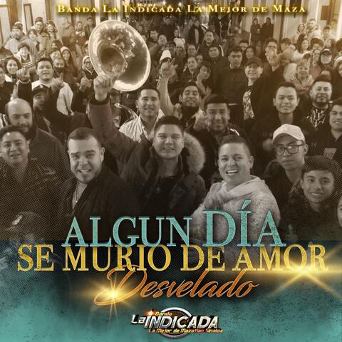 Algún Día,Se Murió De Amor,Desvelado
