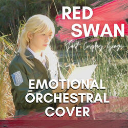 Red Swan