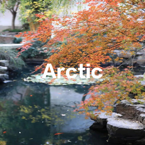 Arctic