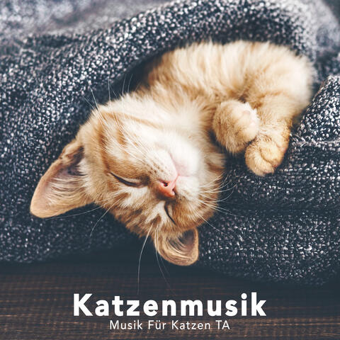 Katzenmusik