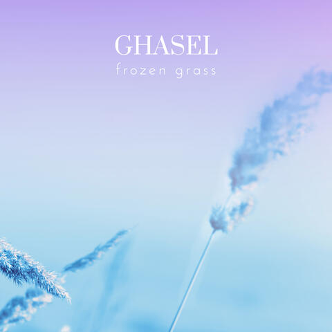 Frozen Grass
